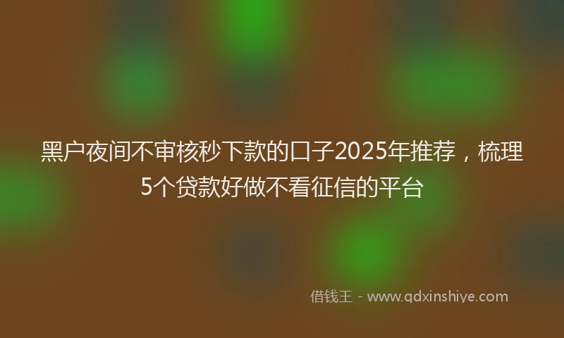 黑户夜间不审核秒下款的口子2025年推荐，梳理5个贷款好做不看征信的平台