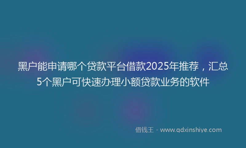 黑户能申请哪个贷款平台借款2025年推荐，汇总5个黑户可快速办理小额贷款业务的软件