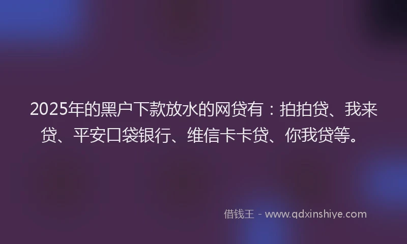 2025年的黑户下款放水的网贷有：拍拍贷、我来贷、平安口袋银行、维信卡卡贷、你我贷等。