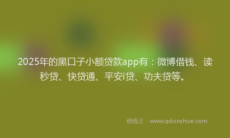 2025年的黑口子小额贷款app有：微博借钱、读秒贷、快贷通、平安i贷、功夫贷等。