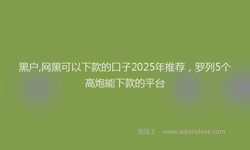 黑户,网黑可以下款的口子2025年推荐，罗列5个高炮能下款的平台
