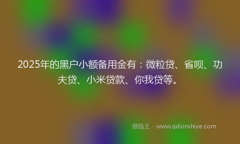 2025年的黑户小额备用金有：微粒贷、省呗、功夫贷、小米贷款、你我贷等。
