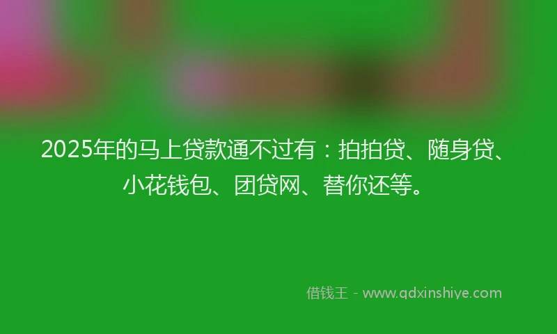2025年的马上贷款通不过有：拍拍贷、随身贷、小花钱包、团贷网、替你还等。