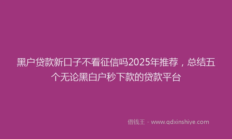 黑户贷款新口子不看征信吗2025年推荐，总结五个无论黑白户秒下款的贷款平台