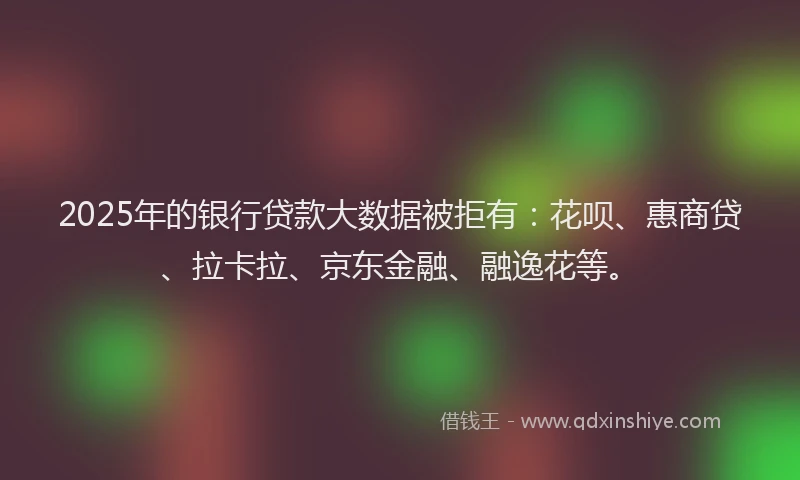2025年的银行贷款大数据被拒有：花呗、惠商贷、拉卡拉、京东金融、融逸花等。