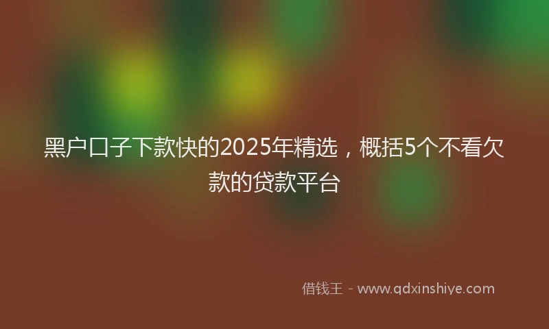 黑户口子下款快的2025年精选，概括5个不看欠款的贷款平台