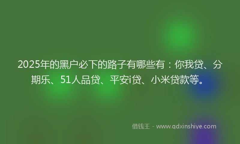2025年的黑户必下的路子有哪些有：你我贷、分期乐、51人品贷、平安i贷、小米贷款等。