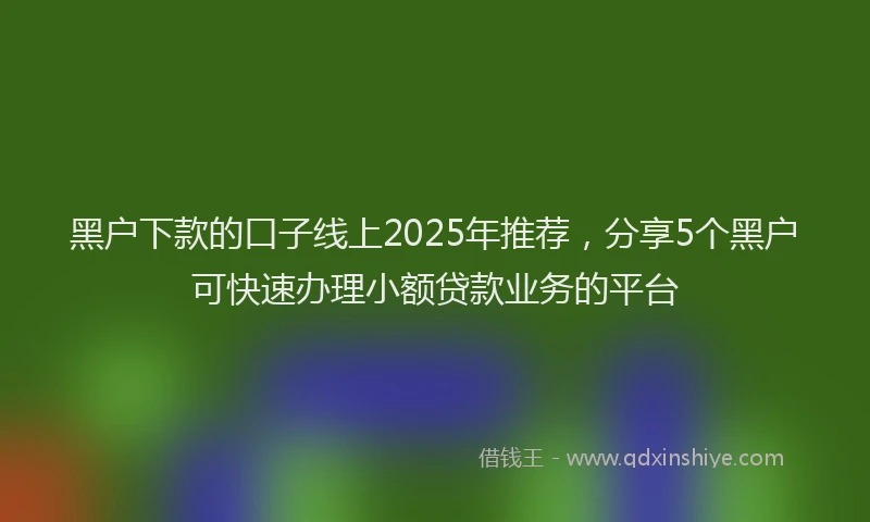 黑户下款的口子线上2025年推荐，分享5个黑户可快速办理小额贷款业务的平台
