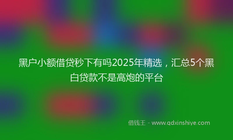 黑户小额借贷秒下有吗2025年精选，汇总5个黑白贷款不是高炮的平台