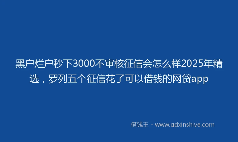 黑户烂户秒下3000不审核征信会怎么样2025年精选，罗列五个征信花了可以借钱的网贷app