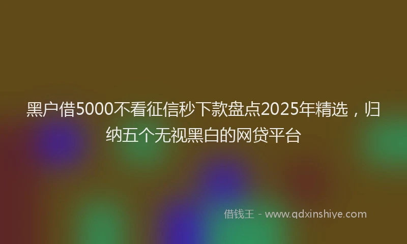 黑户借5000不看征信秒下款盘点2025年精选，归纳五个无视黑白的网贷平台