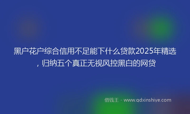 黑户花户综合信用不足能下什么贷款2025年精选，归纳五个真正无视风控黑白的网贷
