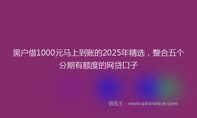 黑户借1000元马上到账的2025年精选，整合五个分期有额度的网贷口子