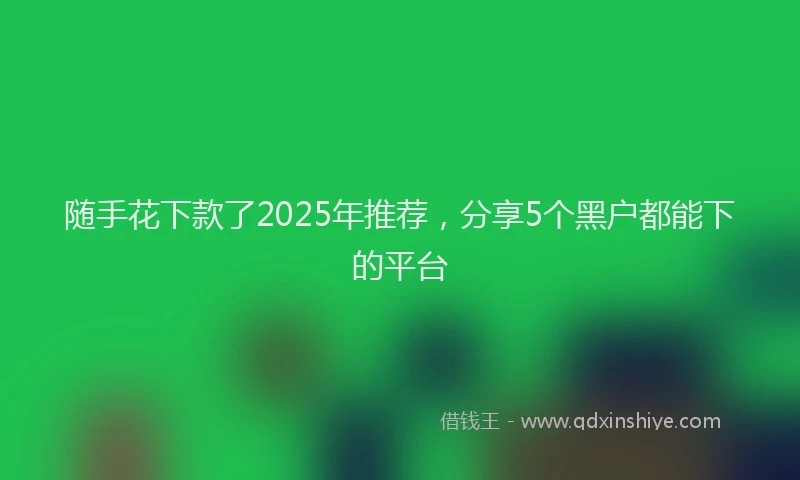 随手花下款了2025年推荐，分享5个黑户都能下的平台
