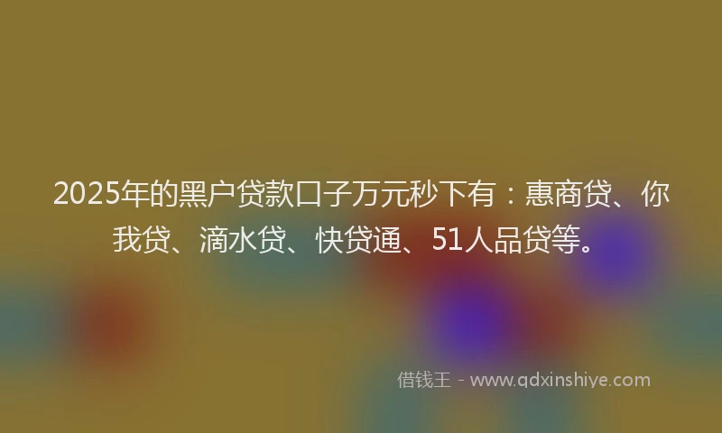 2025年的黑户贷款口子万元秒下有：惠商贷、你我贷、滴水贷、快贷通、51人品贷等。
