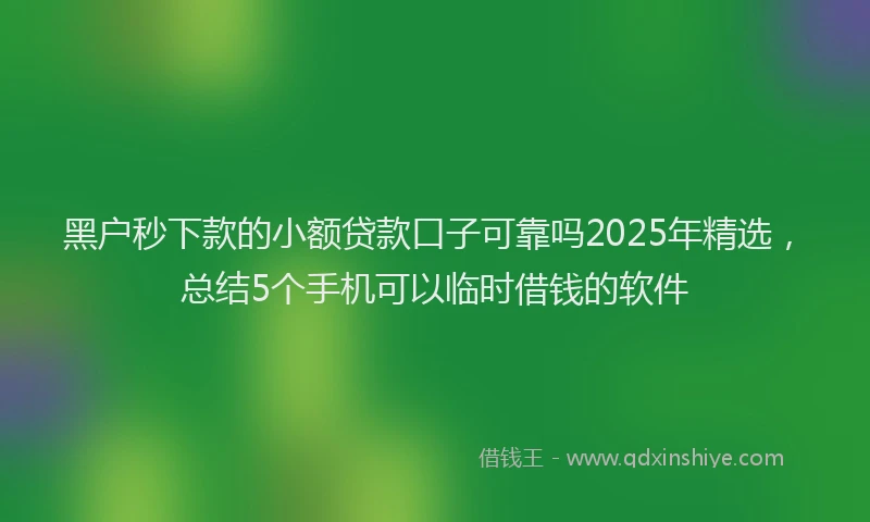 黑户秒下款的小额贷款口子可靠吗2025年精选，总结5个手机可以临时借钱的软件