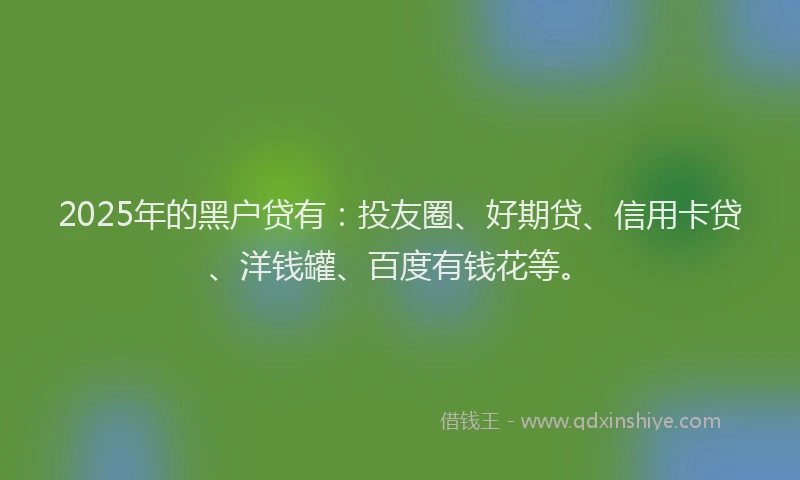 2025年的黑户贷有：投友圈、好期贷、信用卡贷、洋钱罐、百度有钱花等。