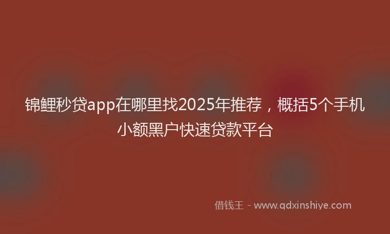 锦鲤秒贷app在哪里找2025年推荐，概括5个手机小额黑户快速贷款平台