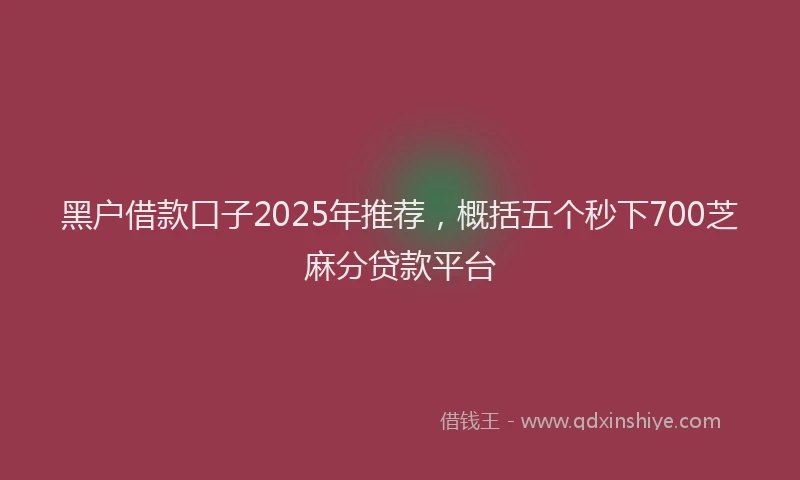 黑户借款口子2025年推荐，概括五个秒下700芝麻分贷款平台