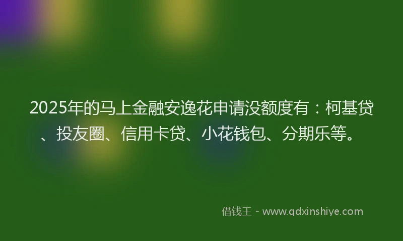 2025年的马上金融安逸花申请没额度有：柯基贷、投友圈、信用卡贷、小花钱包、分期乐等。