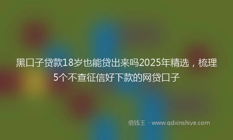 黑口子贷款18岁也能贷出来吗2025年精选，梳理5个不查征信好下款的网贷口子