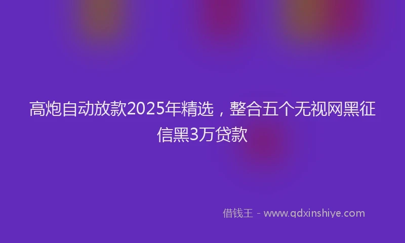 高炮自动放款2025年精选，整合五个无视网黑征信黑3万贷款