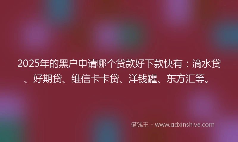 2025年的黑户申请哪个贷款好下款快有：滴水贷、好期贷、维信卡卡贷、洋钱罐、东方汇等。