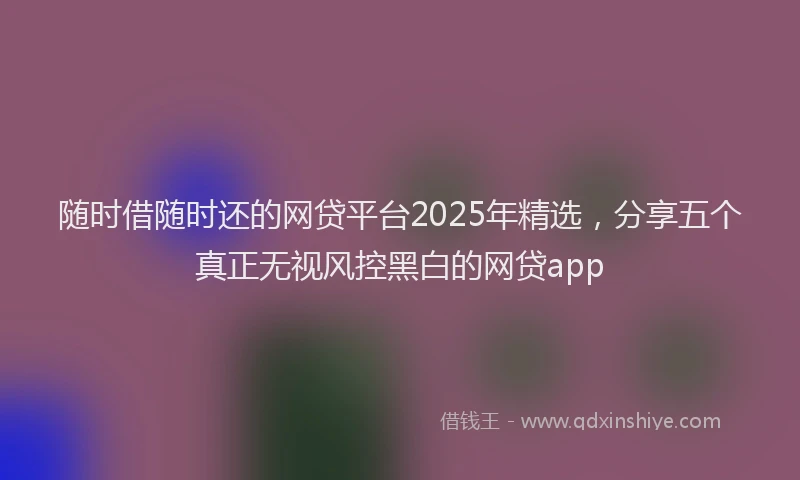 随时借随时还的网贷平台2025年精选，分享五个真正无视风控黑白的网贷app