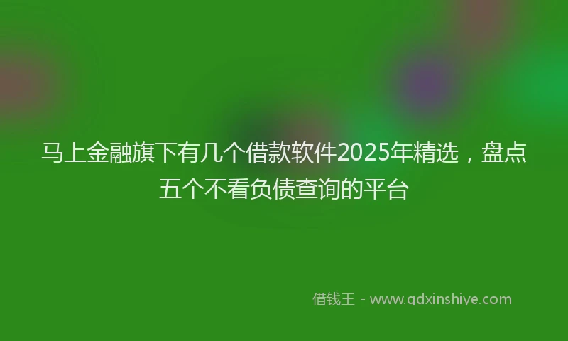 马上金融旗下有几个借款软件2025年精选，盘点五个不看负债查询的平台