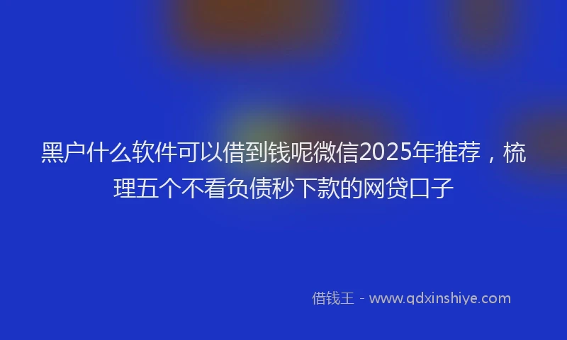 黑户什么软件可以借到钱呢微信2025年推荐，梳理五个不看负债秒下款的网贷口子