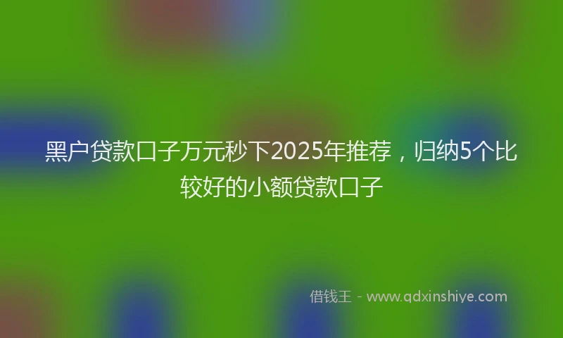 黑户贷款口子万元秒下2025年推荐，归纳5个比较好的小额贷款口子