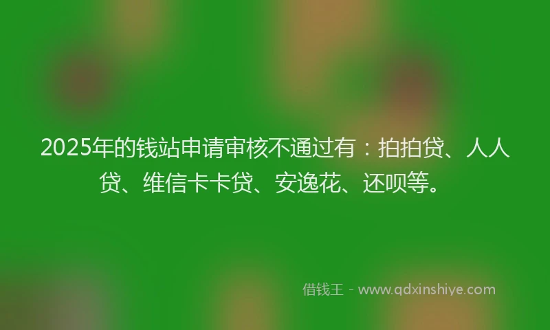 2025年的钱站申请审核不通过有：拍拍贷、人人贷、维信卡卡贷、安逸花、还呗等。