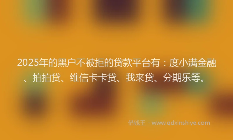 2025年的黑户不被拒的贷款平台有：度小满金融、拍拍贷、维信卡卡贷、我来贷、分期乐等。