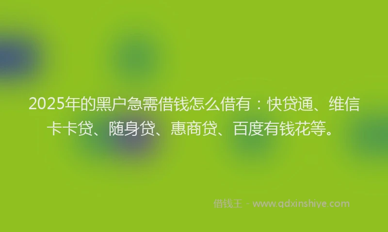 2025年的黑户急需借钱怎么借有：快贷通、维信卡卡贷、随身贷、惠商贷、百度有钱花等。