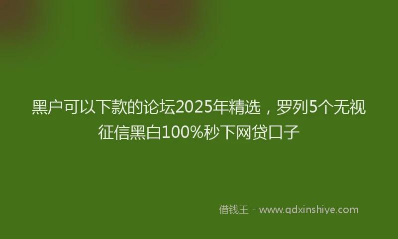 黑户可以下款的论坛2025年精选，罗列5个无视征信黑白100%秒下网贷口子
