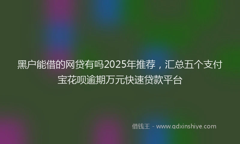 黑户能借的网贷有吗2025年推荐，汇总五个支付宝花呗逾期万元快速贷款平台