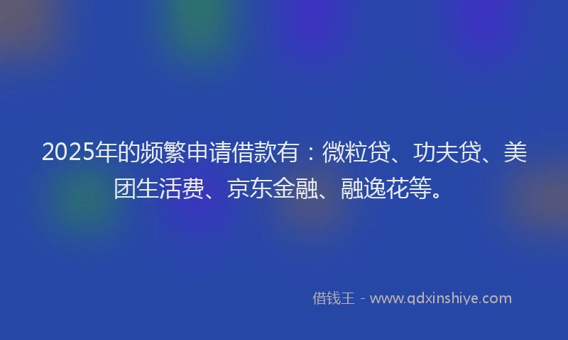2025年的频繁申请借款有：微粒贷、功夫贷、美团生活费、京东金融、融逸花等。