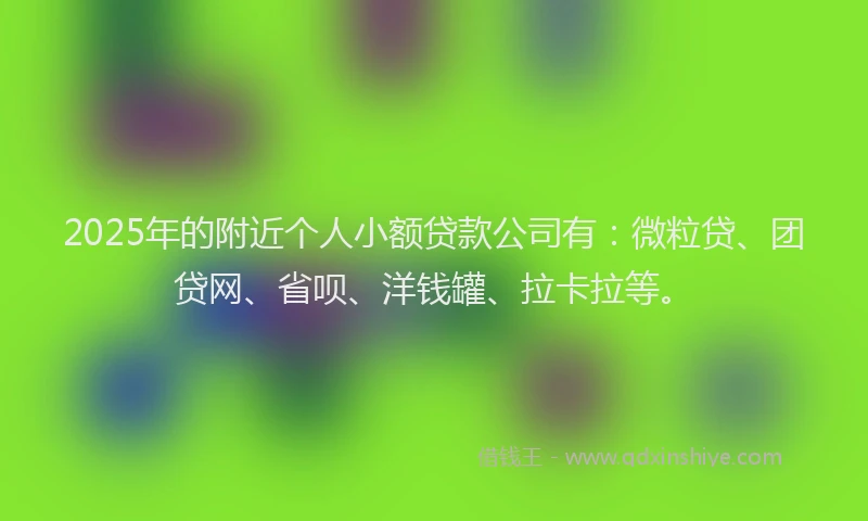 2025年的附近个人小额贷款公司有：微粒贷、团贷网、省呗、洋钱罐、拉卡拉等。