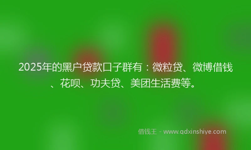 2025年的黑户贷款口子群有：微粒贷、微博借钱、花呗、功夫贷、美团生活费等。
