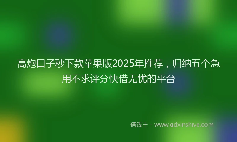 高炮口子秒下款苹果版2025年推荐，归纳五个急用不求评分快借无忧的平台