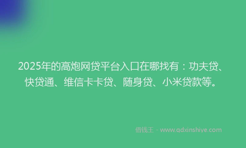 2025年的高炮网贷平台入口在哪找有：功夫贷、快贷通、维信卡卡贷、随身贷、小米贷款等。