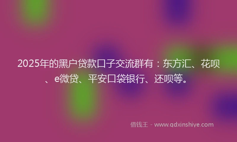 2025年的黑户贷款口子交流群有：东方汇、花呗、e微贷、平安口袋银行、还呗等。