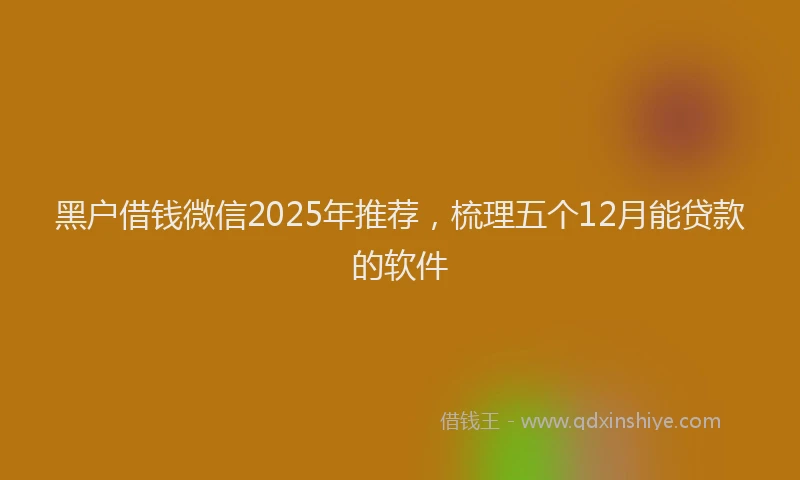 黑户借钱微信2025年推荐，梳理五个12月能贷款的软件