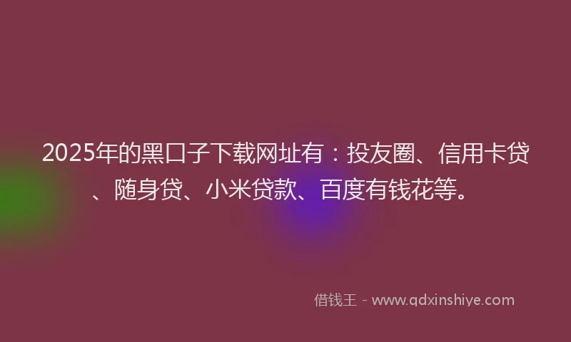 2025年的黑口子下载网址有：投友圈、信用卡贷、随身贷、小米贷款、百度有钱花等。