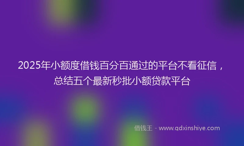 2025年小额度借钱百分百通过的平台不看征信，总结五个最新秒批小额贷款平台