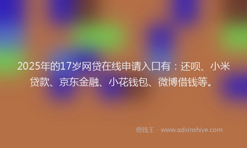 2025年的17岁网贷在线申请入口有：还呗、小米贷款、京东金融、小花钱包、微博借钱等。