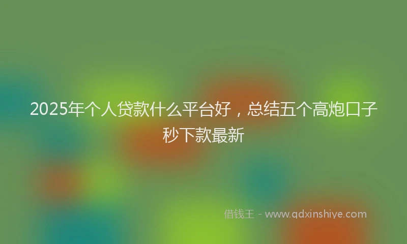 2025年个人贷款什么平台好，总结五个高炮口子秒下款最新