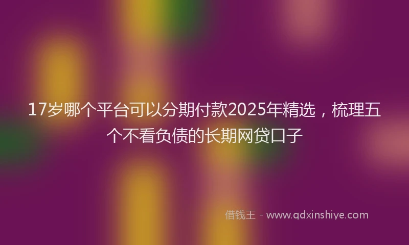 17岁哪个平台可以分期付款2025年精选，梳理五个不看负债的长期网贷口子