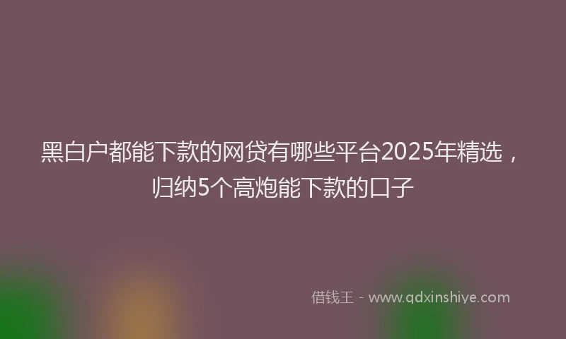 黑白户都能下款的网贷有哪些平台2025年精选，归纳5个高炮能下款的口子
