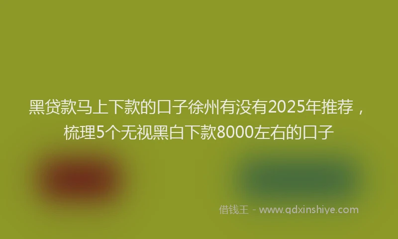 黑贷款马上下款的口子徐州有没有2025年推荐，梳理5个无视黑白下款8000左右的口子
